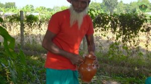 30 KG Giant Grouper Fish Vuna - Big Vol Fish Cooking in Village - Fish Curry for Special people