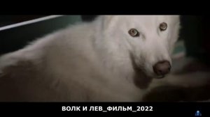ВОЛК И ЛЕВ.mp4