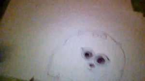 Как нарисовать  Гиджет  из мультика  Тайная  жизнь  домашних  питомцев