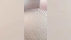 DIY как сделать лежанку для кошки из картона своими руками!!!???🐾😸