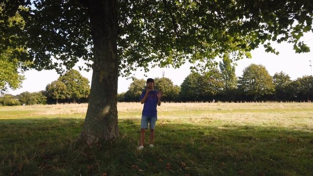 A day with a Sony Cybershot from 2002 смотреть онлайн