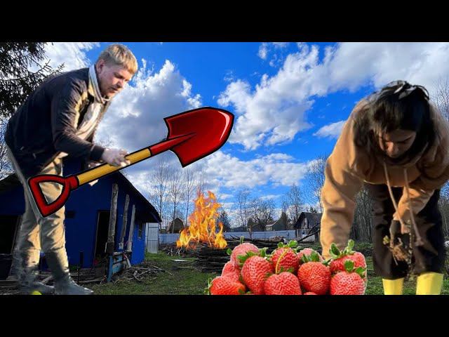 #2 РАСЧИСТКА УЧАСТКА. Первые посадки на даче