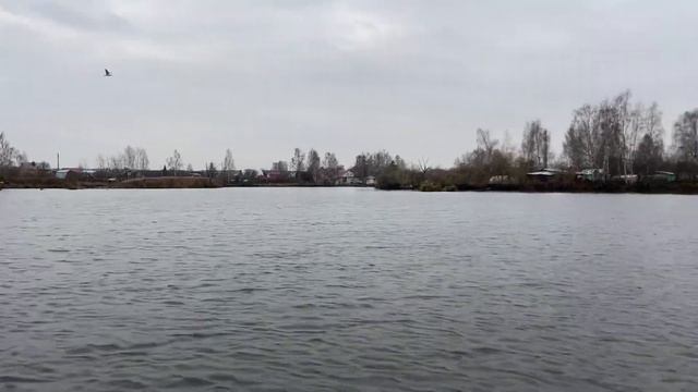 Утки на реке Клязьма 2019 Ногинск лодка tohatsu смотреть онлайн