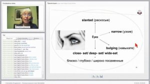 Description of appearance. Описание внешности на английском языке. Intermediate.