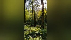 Места силы как определить. Места силы Россия. Места силы Москвы. Ченнелинг.