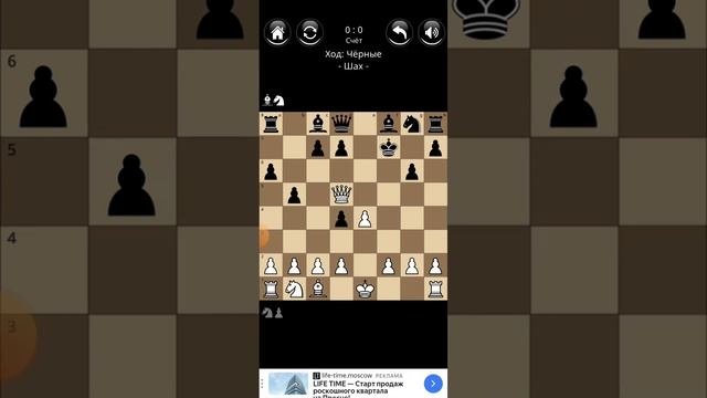 ТОП 4 ЛОВУШКИ ПО ШАХМАТАМ смотреть онлайн