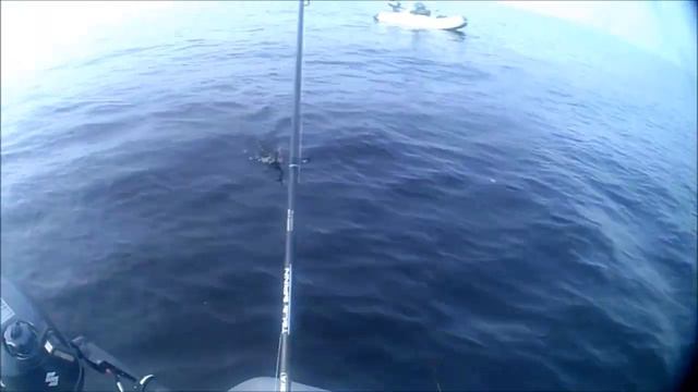 Лен обл рыбалка  Онега баржа 22 08 2017 ЖОР крупного и среднего окуня. Мегра,Панское!