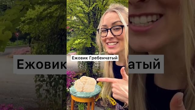 #грибы #микродозинг  #ежовик