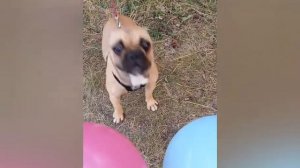 Лёва, Костя, Лиза и ?