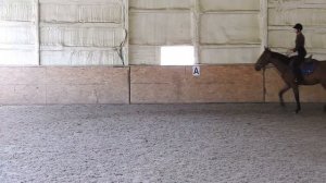 КСК Прованс. Верховая езда. Ясенево