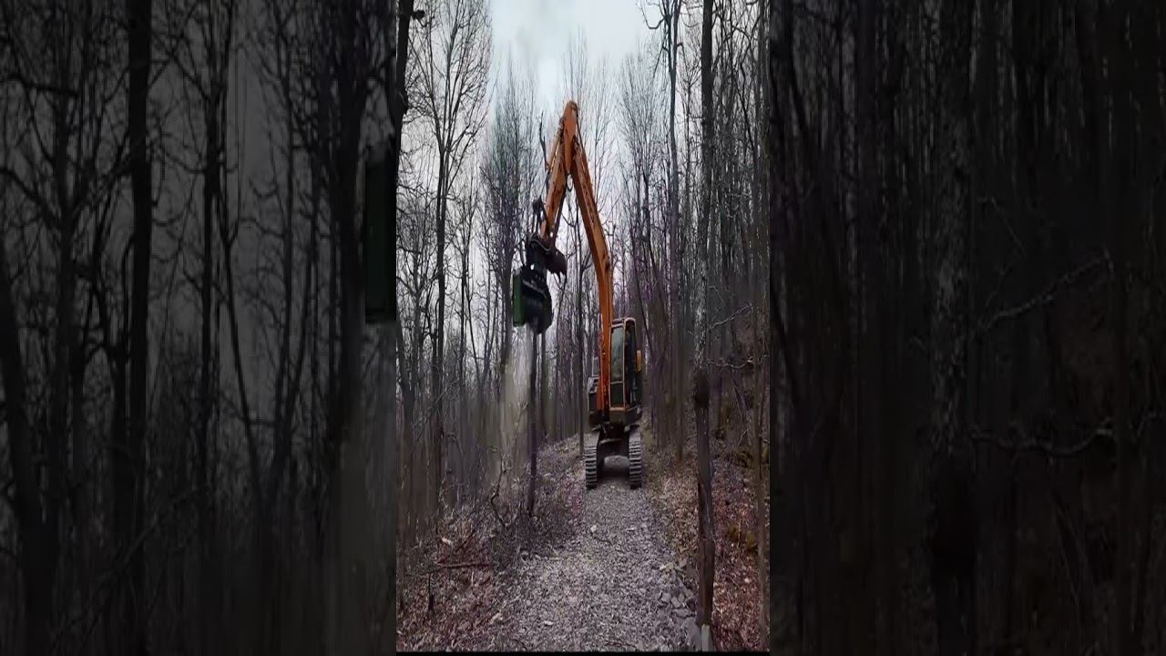 Мульча