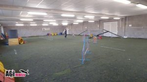 AGIrebels - Blue Batik Perla z Polabí trénuje na víkendové zkoušky agility ve Sviadnově 3/2019