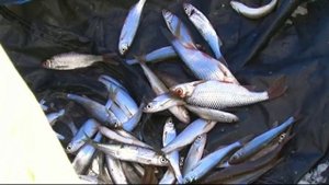 Рыбалка на реке Большой Ик