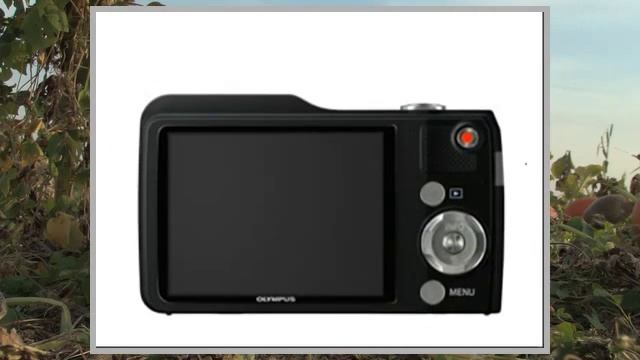 Olympus VG170 Black смотреть онлайн
