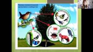 5 класс  Природоведение