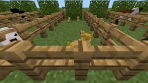 Майнкрафт но у меня поевилось много собак обзор мода