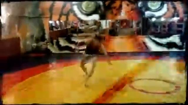 Капоэйра в СПБ Капоэйра в Санкт-Петербурге Axe Capoeira