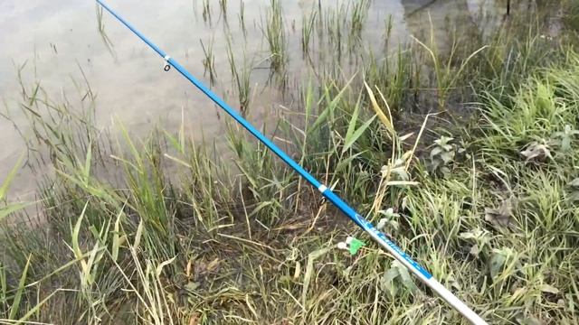 Рыбалка в Крыму. 03.06.2020 с. Демьяновка Симферопольский р-н. смотреть онлайн