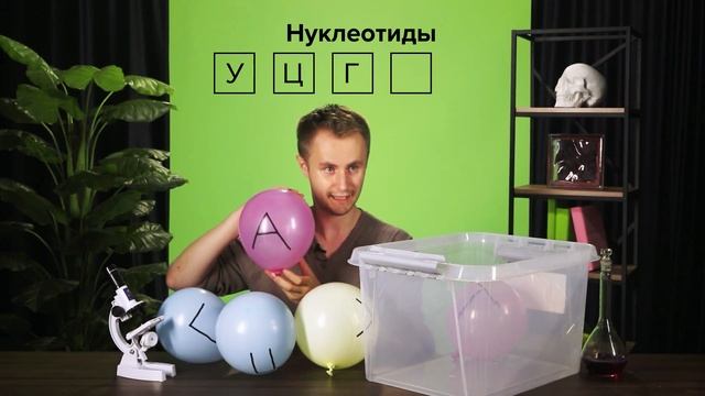 Органические вещества клетки