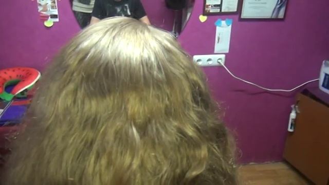 Лев до стрижки горячими ножницами смотреть онлайн