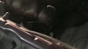 Как снять коробку робот opel corsa c, взведение сцепления.
