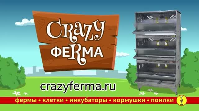 CrazyFerma - Сразу Ferma