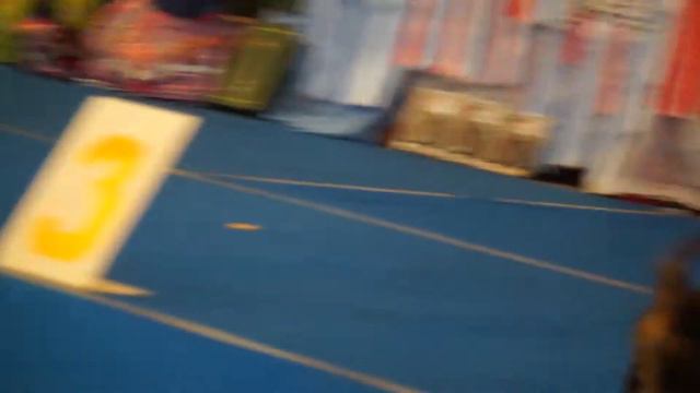 25.08.2013 эксперт Гаврилова Яна Щенки смотреть онлайн