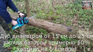 Пила цепная аккумуляторная Kraissmann 4051 AKS-BL 36/2 после 1 месяца активной эксплуатации!