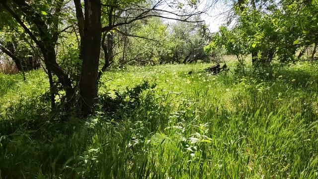 прогулка_040524 Астрахань и окрестности смотреть онлайн