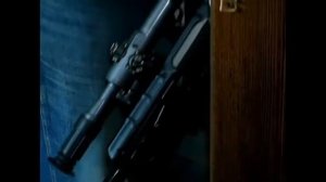 кот и дед на роликах прикол