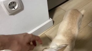 VLOG ДАЖЕ НЕ ЗНАЮ ЧТО С НАМИ БУДЕТ