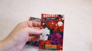 Что выросло из семян в 2022 году