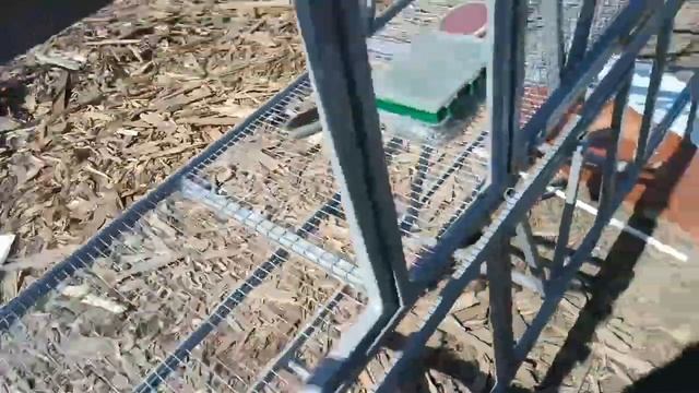 Мои клетки для кроликов