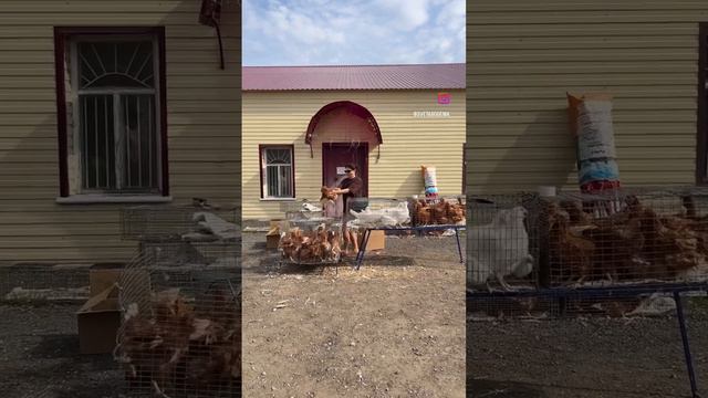 Деревенский шик. Богема в деревне