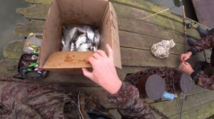 ДА СКОЛЬКО ЖЕ РЫБЫ В ЭТОМ РУЧЬЕ!