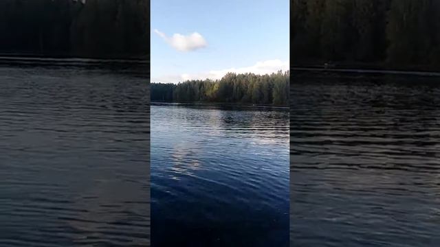 Правильный болотоход и лодка ПВХ