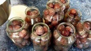 СЛИВЫ КОНСЕРВИРОВАННЫЕ (отличная начинка для пирогов и пирожков ) Заготовка на зиму ОЧЕНЬ вкусные !