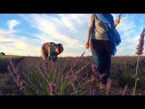 Женский ретрит в Испании с Юлией Лагун. Июль 2017