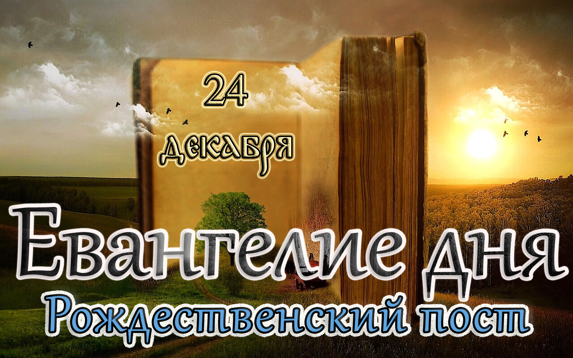 Евангелие и Святые дня. Апостольские чтения. Неделя 29-я по Пятидесятнице. Святых Праотец (24.12.23)