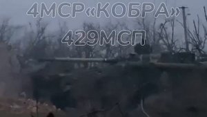 СВО Главное