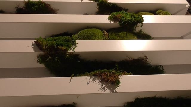 MOSS decorates ticket office of Helsinki railway station МОХ украшает ж/д вокзал в Хельсинках смотреть онлайн