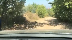 Suzuki Vitara 4WD Mountain Road