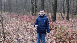 Прудников Федор стихотворение А.А. Фета «Учись у них – у дуба, у березы…»