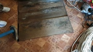 Наша ДАЧА и ТЕПЛИЦА на 1000 квадратов