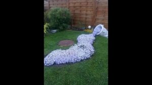 СУХОЙ РУЧЕЙ 30 ИДЕЙ | Сухой ручей из цветов