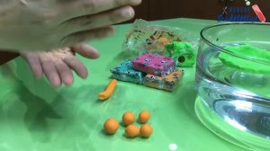 How to Float Clay in Water | Clay Boat | DENSITY and BUOYANCY Experiment | STEM Activity for Kids