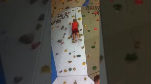 Борька молодец!!! смотреть онлайн