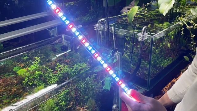 Светодиодный светильник лампа для аквариума BODAPRO PLANT смотреть онлайн