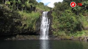 Sony RX 10. Высокопрофессиональная камера компактного размера