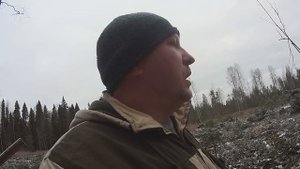 Солонцы на зайца. Готовим место для охоты с гончей